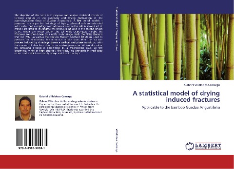 A statistical model of drying induced fractures: Applicable to the bamboo Guadua Angustifolia