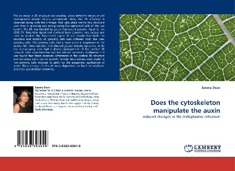 Does the cytoskeleton manipulate the auxin: induced changes in the endoplasmic reticulum