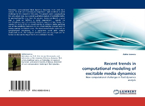 Recent trends in computational modeling of excitable media dynamics: New computational challenges in fluid dynamics analysis