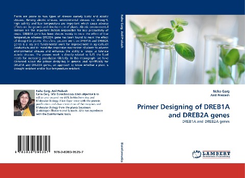 Primer Designing of DREB1A and DREB2A genes: DREB1A and DREB2A genes
