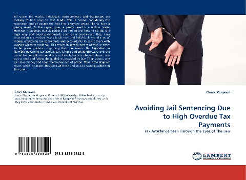 Avoiding Jail Sentencing Due to High Overdue Tax Payments: Tax Avoidance Seen Through the Eyes of The Law