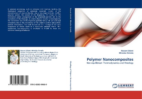 Polymer Nanocomposites: Non-equilibrium Thermodynamics and Rheology