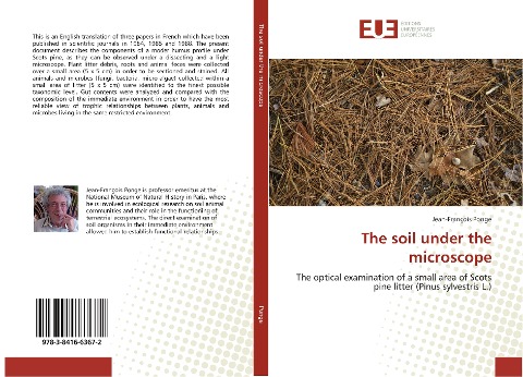The soil under the microscope: The optical examination of a small area of Scots pine litter (Pinus sylvestris L.)