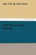 Wild Flowers Worth Knowing