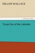 Troop One of the Labrador