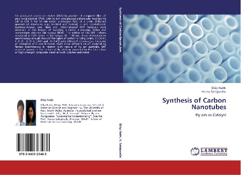 Synthesis of Carbon Nanotubes: Fly ash as Catalyst