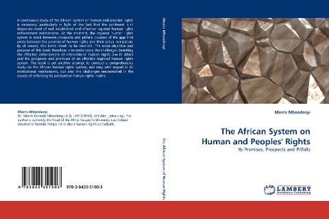 The African System on Human and Peoples Rights: Its Promises, Prospects and Pitfalls
