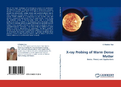X-ray Probing of Warm Dense Matter: Basics, Theory and Applications