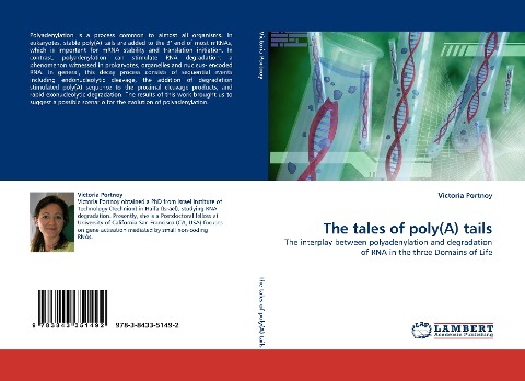 The tales of poly(A) tails: The interplay between polyadenylation and degradation of RNA in the three Domains of Life