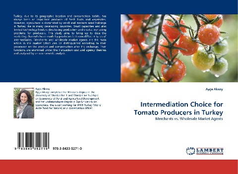 Intermediation Choice for Tomato Producers in Turkey: Merchants vs. Wholesale Market Agents