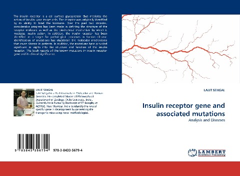 Insulin receptor gene and associated mutations: Analysis and Diseases
