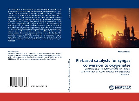 Rh-based catalysts for syngas conversion to oxygenates: Identification of Rh active sites for the efficient transformation of H2/CO mixtures into oxygenated compounds