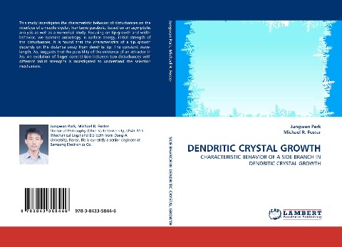 DENDRITIC CRYSTAL GROWTH: CHARACTERISTIC BEHAVIOR OF A SIDE BRANCH IN DENDRITIC CRYSTAL GROWTH