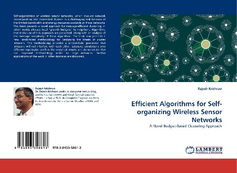 Efficient Algorithms for Self-organizing Wireless Sensor Networks: A Novel Budget-Based Clustering Approach