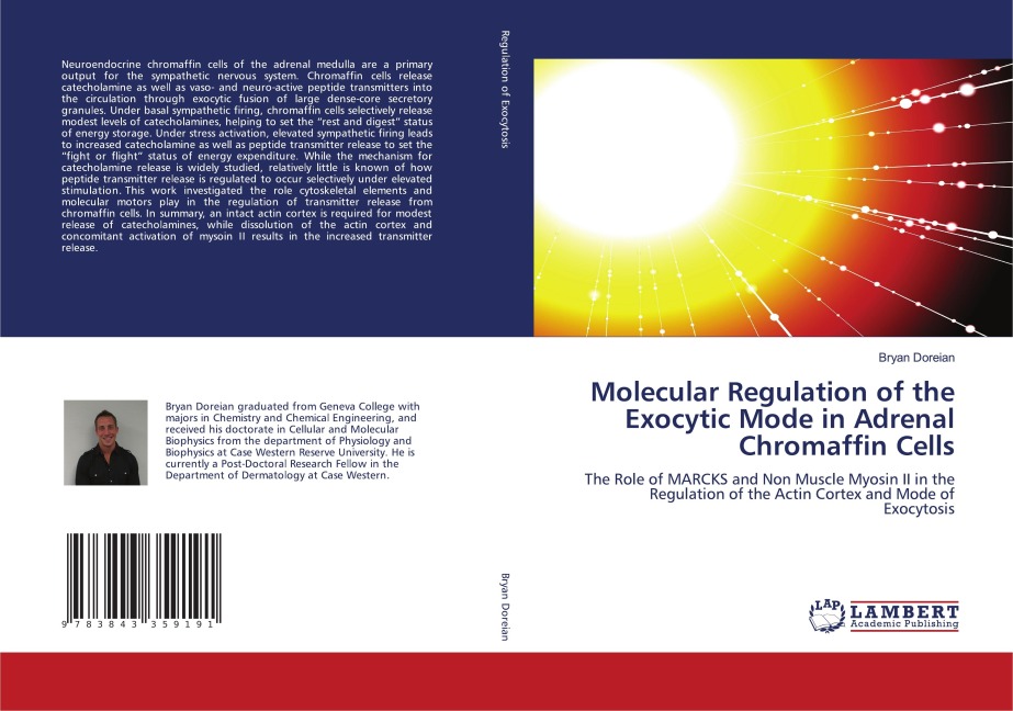 Molecular Regulation of the Exocytic Mode in Adrenal Chromaffin Cells: The Role of MARCKS and Non Muscle Myosin II in the Regulation of the Actin Cortex and Mode of Exocytosis