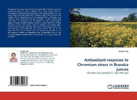 Antioxidant response to Chromium stress in Brassica juncea: Chromium accumulation in Indian Mustard