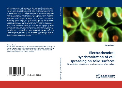 Electrochemical synchronization of cell spreading on solid surfaces: Dictyostelium discoideum: synchronization of spreading