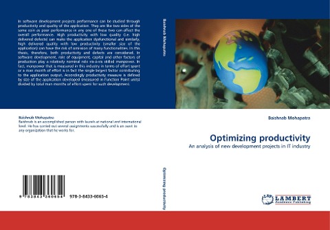 Optimizing productivity: An analysis of new development projects in IT industry