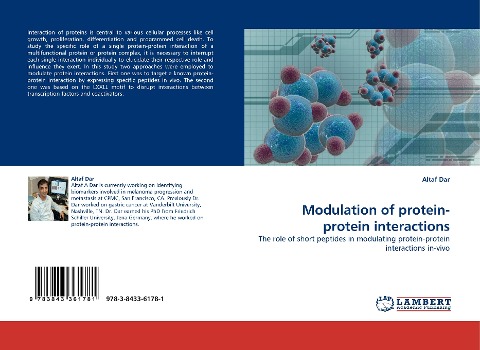 Modulation of protein-protein interactions: The role of short peptides in modulating protein-protein interactions in-vivo