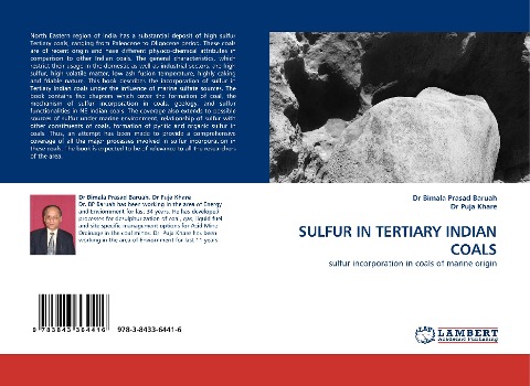 SULFUR IN TERTIARY INDIAN COALS: sulfur incorporation in coals of marine origin