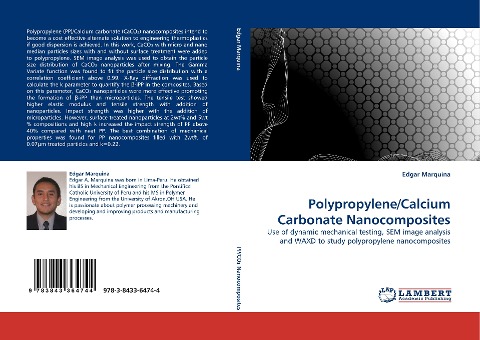 Polypropylene/Calcium Carbonate Nanocomposites: Use of dynamic mechanical testing, SEM image analysis and WAXD to study polypropylene nanocomposites