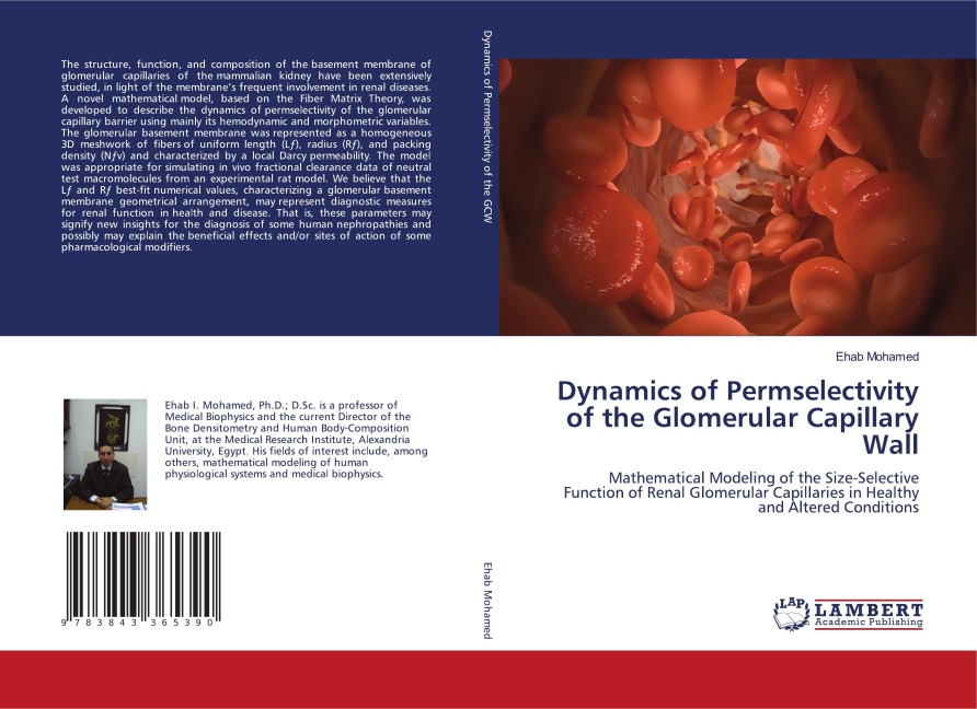 Dynamics of Permselectivity of the Glomerular Capillary Wall: Mathematical Modeling of the Size-Selective Function of Renal Glomerular Capillaries in Healthy and Altered Conditions