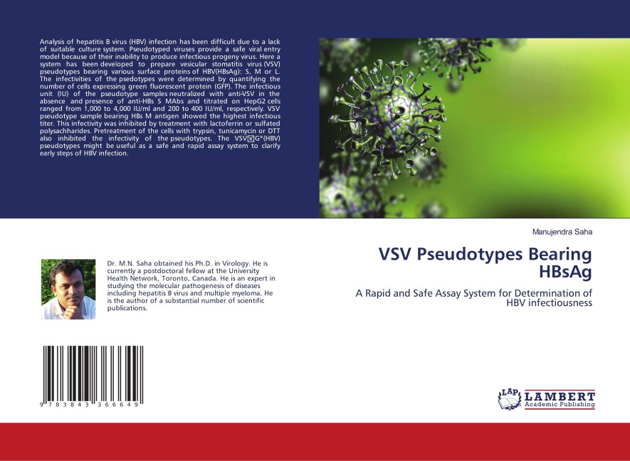 VSV Pseudotypes Bearing HBsAg: A Rapid and Safe Assay System for Determination of HBV infectiousness