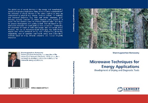 Microwave Techniques for Energy Applications: Development of Drying and Diagnostic Tools