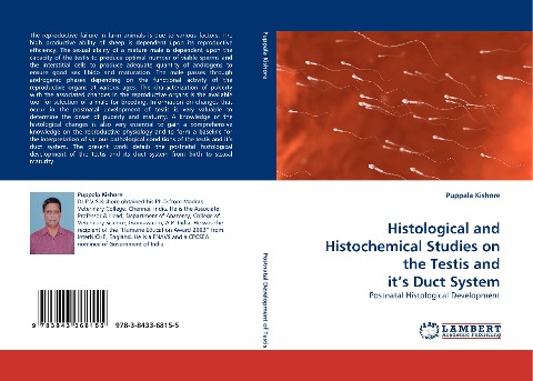 Histological and Histochemical Studies on the Testis and its Duct System: Postnatal Histological Development