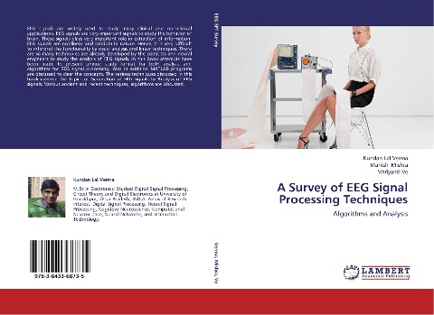 A Survey of EEG Signal Processing Techniques: Algorithms and Analysis