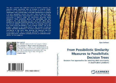 From Possibilistic Similarity Measures to Possibilistic Decision Trees: Decision Tree approaches for handling label-uncertainty in classification problems