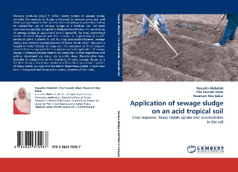 Application of sewage sludge on an acid tropical soil: Crop response, heavy metals uptake and accumulation in the soil