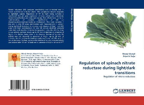 Regulation of spinach nitrate reductase during light/dark transitions: Regulation of nitrate reductase