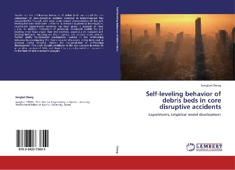 Self-leveling behavior of debris beds in core disruptive accidents: Experiments, Empirical model development