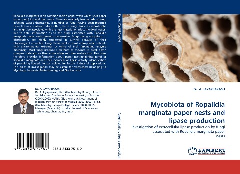 Mycobiota of Ropalidia marginata paper nests and lipase production: Investigation of extracellular lipase production by fungi associated with Ropalidia marginata paper nests
