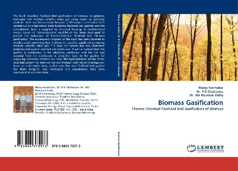 Biomass Gasification: Thermo Chemical Fluidized Bed Gasification of Biomass