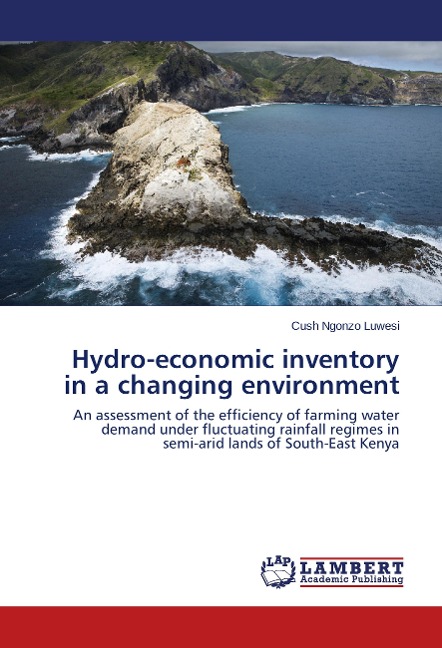 Hydro-economic inventory in a changing environment: An assessment of the efficiency of farming water  demand under fluctuating rainfall regimes in  semi-arid lands of South-East Kenya