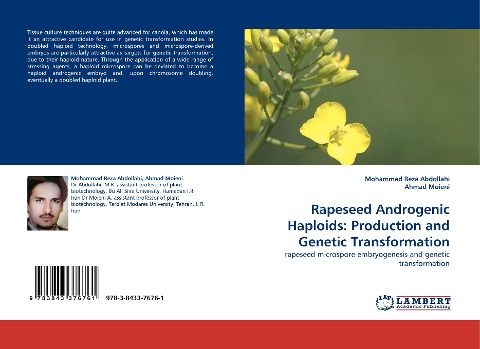 Rapeseed Androgenic Haploids: Production and Genetic Transformation: rapeseed microspore embryogenesis and genetic transformation