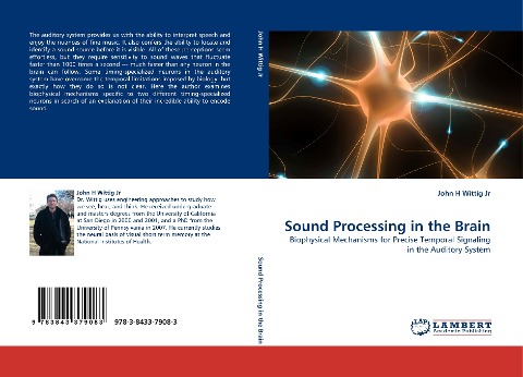 Sound Processing in the Brain: Biophysical Mechanisms for Precise Temporal Signaling in the Auditory System