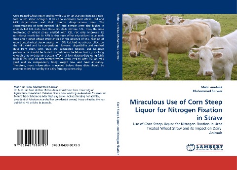 Miraculous Use of Corn Steep Liquor for Nitrogen Fixation in Straw: Use of Corn Steep Liquor for Nitrogen Fixation in Urea Treated Wheat Straw and its Impact on Dairy  Animals