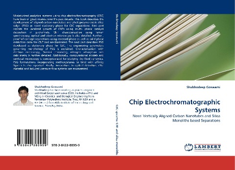 Chip Electrochromatographic Systems: Novel Vertically Aligned Carbon Nanotubes and Silica Monoliths based Separations