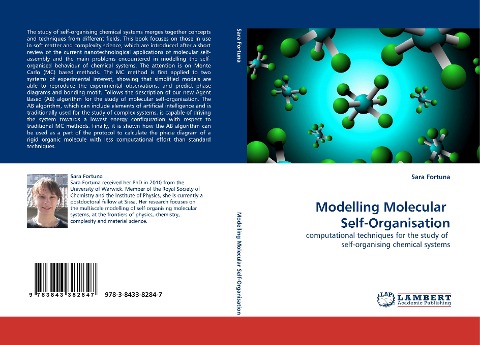 Modelling Molecular  Self-Organisation: computational techniques for the study of  self-organising chemical systems