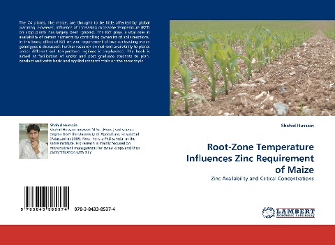 Root-Zone Temperature Influences Zinc Requirement of Maize: Zinc Availability and Critical Concentrations