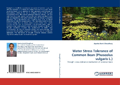 Water Stress Tolerance of Common Bean (Phaseolus vulgaris L.): Drought stress tolerance mechanism of common bean
