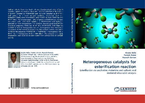 Heterogeneous catalysts for esterification reaction: Esterification via saccharine, melamine and sulfonic acid mediated silica solid catalysts