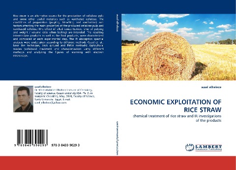 ECONOMIC EXPLOITATION OF RICE STRAW: chemical treatment of rice straw and IR investigations of the products