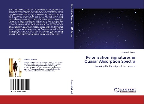 Reionization Signatures in Quasar Absorption Spectra: Exploring the Dark Ages of the Universe