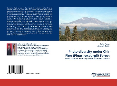 Phyto-diversity under Chir Pine (Pinus roxburgii) Forest: Forest Research Institute (Dehradun) Champion Block