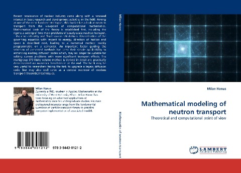 Mathematical modeling of neutron transport: Theoretical and computational point of view