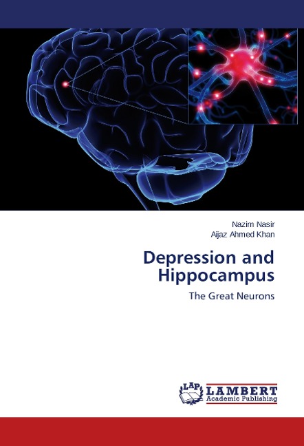 Depression and Hippocampus: The Great Neurons